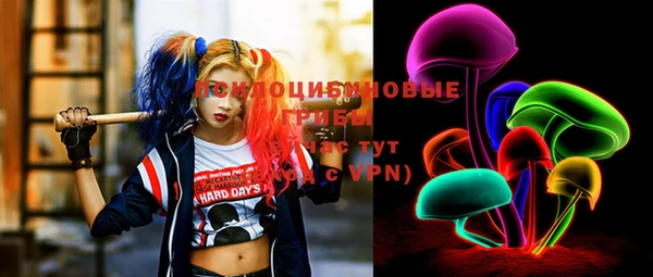 apvp Весьегонск