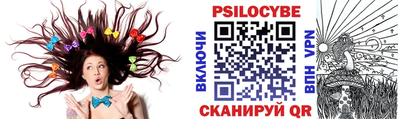 Купить где  Зуевка  Галлюциногенные грибы Psilocybine cubensis 